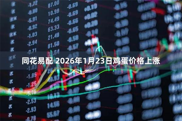 同花易配 2026年1月23日鸡蛋价格上涨