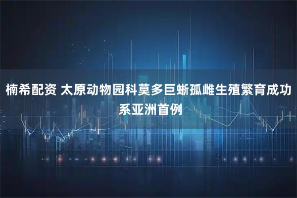 楠希配资 太原动物园科莫多巨蜥孤雌生殖繁育成功 系亚洲首例